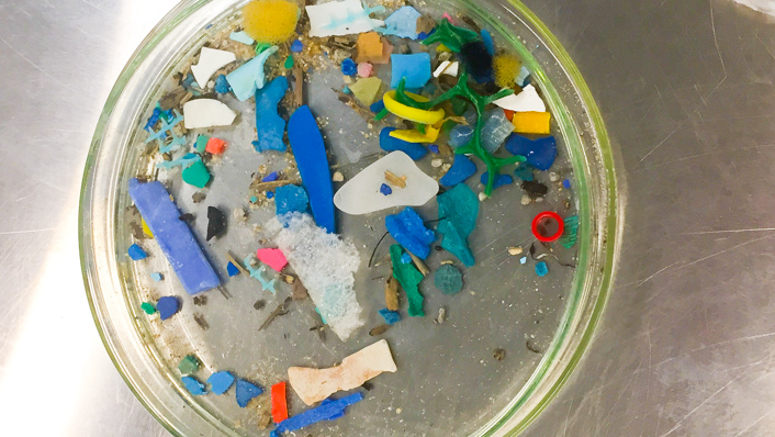Microplastics detox: Clean your body of plastic toxins now